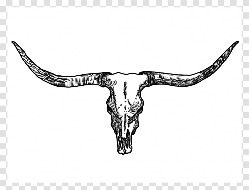 Texas Longhorns, Icon, Cattle, Mammal, Animal Transparent Png