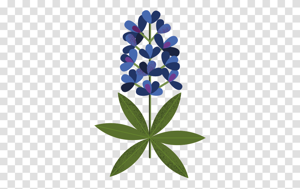 Texas Road Trips That Are All About Bluebonnet, Plant, Flower, Blossom, Lupin Transparent Png