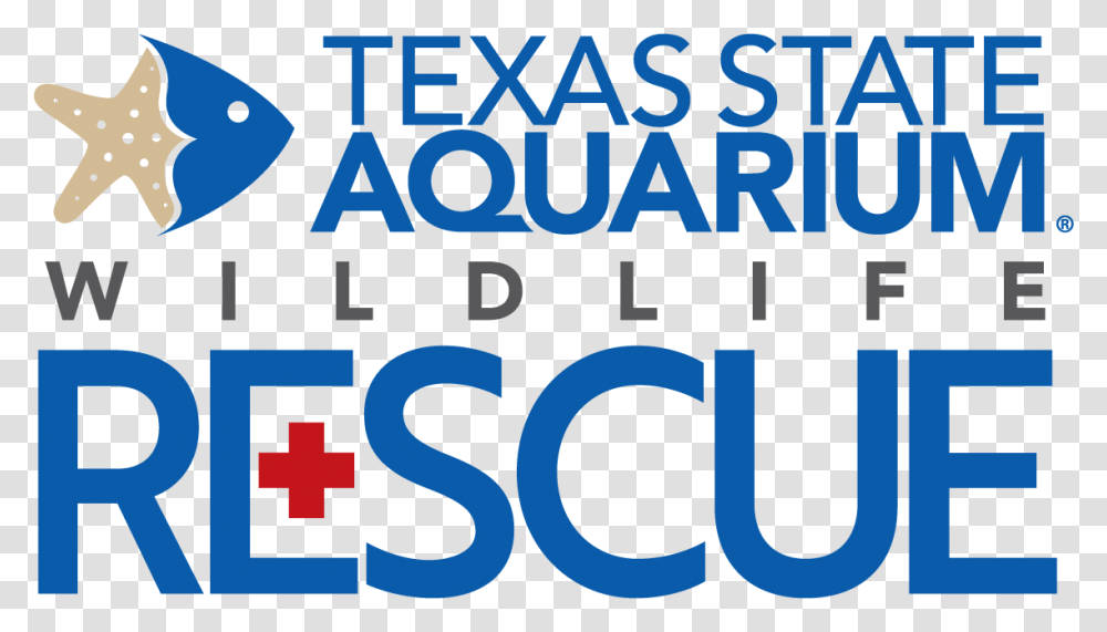 Texas State Aquarium Wildlife Rescue, Alphabet, Number Transparent Png
