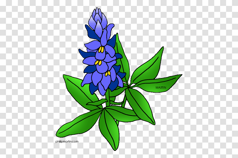 Texas State Flower Clip Art Blue Bonnet, Graphics, Floral Design, Pattern, Plant Transparent Png