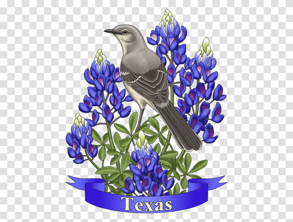 Texas State Mockingbird And Bluebonnet Flower, Animal, Jay, Plant, Blue Jay Transparent Png