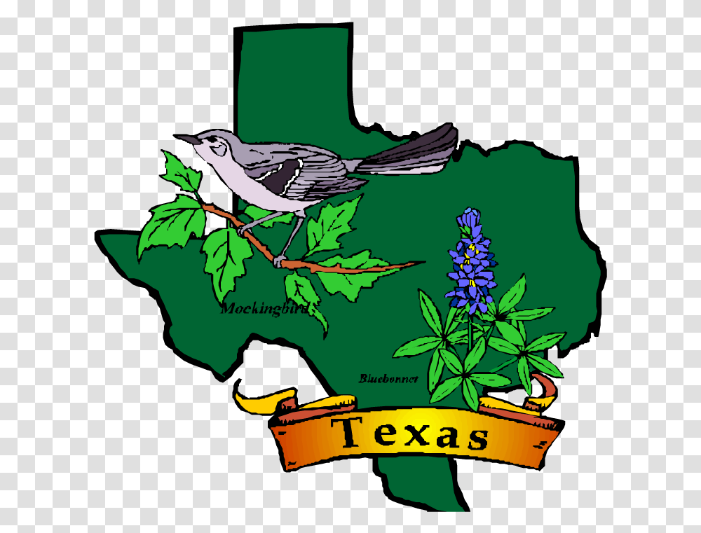 Texas State Symbols Clip Art, Vegetation, Plant, Bird, Animal Transparent Png