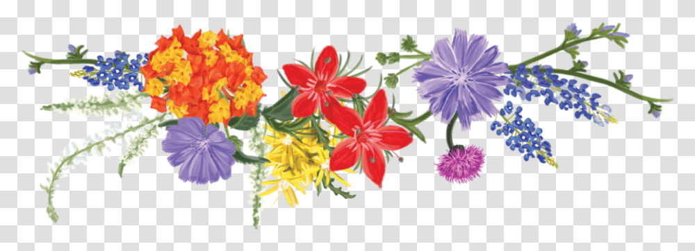 Texas Wildflower Vodka Wildflowers Clipart Free, Plant, Blossom, Anther, Petal Transparent Png