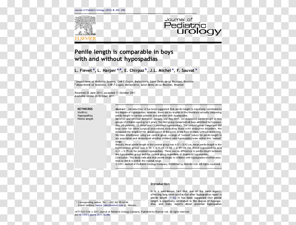 Text, Electronics, Screen, File, Patio Umbrella Transparent Png