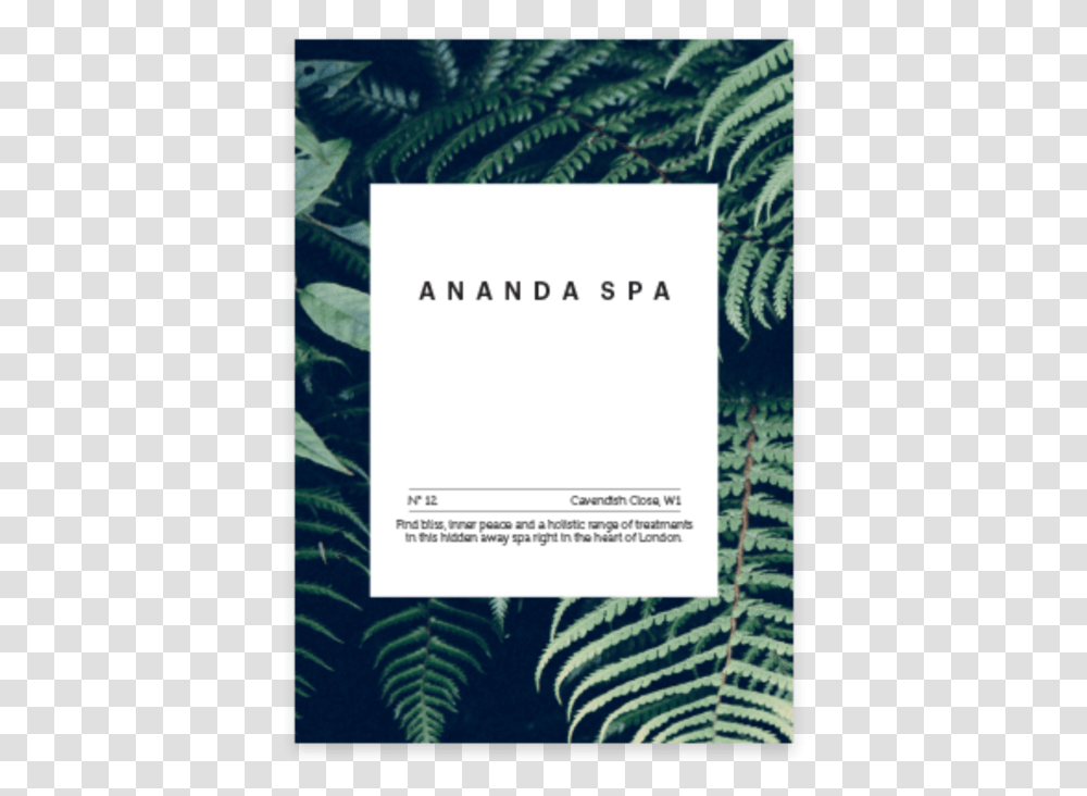 Text, Paper, Page, Plant Transparent Png