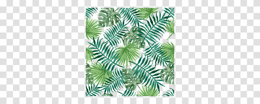 Textile Nature, Plant, Leaf, Fern Transparent Png