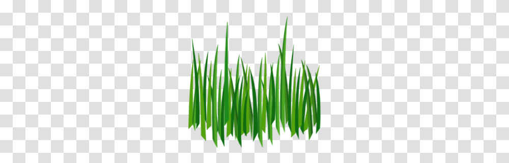 Texture Clipart, Grass, Plant, Green, Leaf Transparent Png