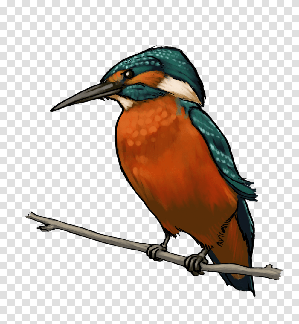 Tgif T Cliparts, Bird, Animal, Bee Eater, Jay Transparent Png
