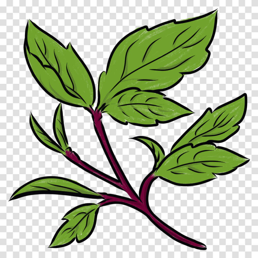 Thai Basil Image Clip Art, Leaf, Plant, Graphics, Floral Design Transparent Png