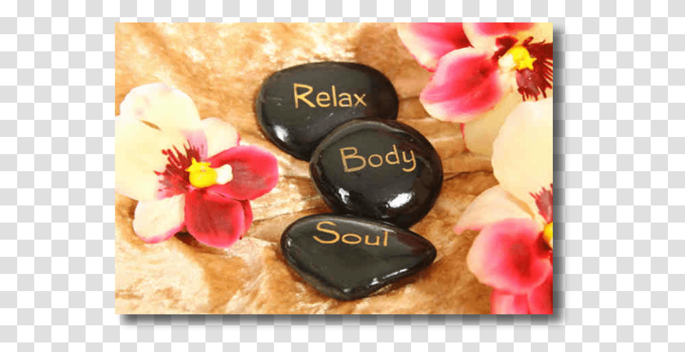 Thai Massage Body Massage Stone, Plant, Flower, Petal, Jar Transparent Png