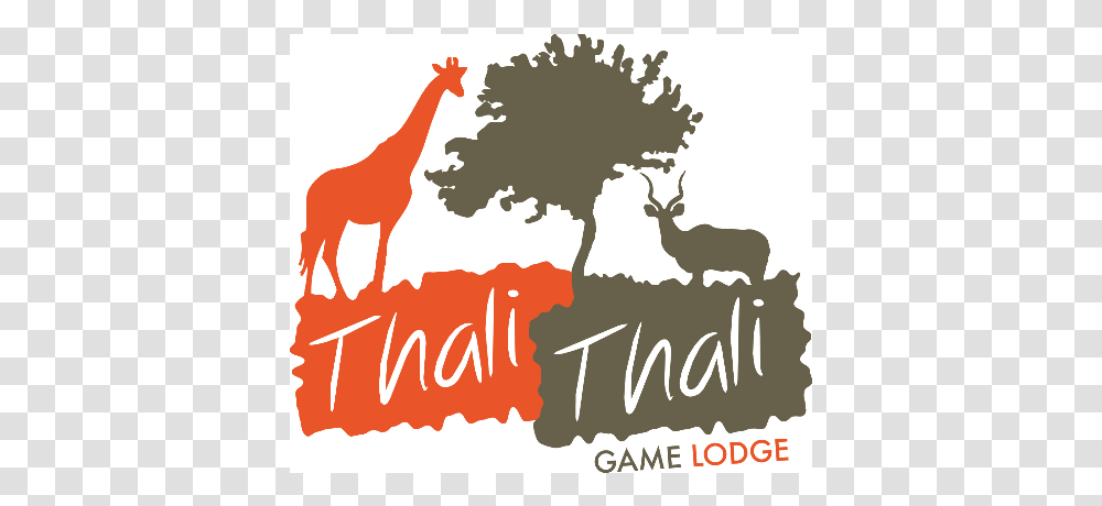 Thali Thali Game Lodge Thali Thali Resort Logo, Mammal, Animal, Wildlife, Giraffe Transparent Png