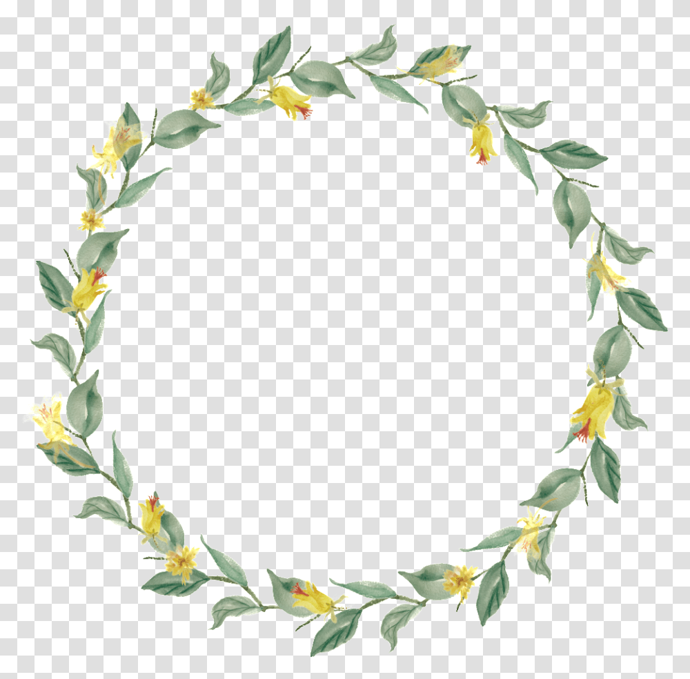 Thank My God Every Time I Think, Plant, Flower, Blossom, Petal Transparent Png