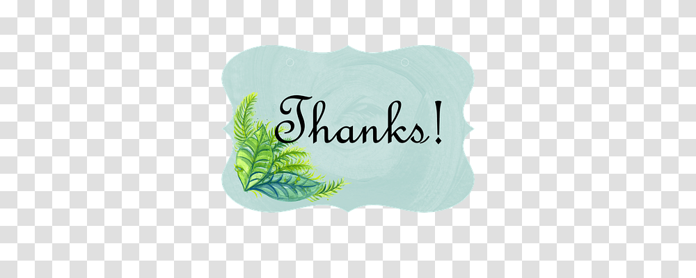 Thank You Text, Label, Baseball Cap, Jar Transparent Png