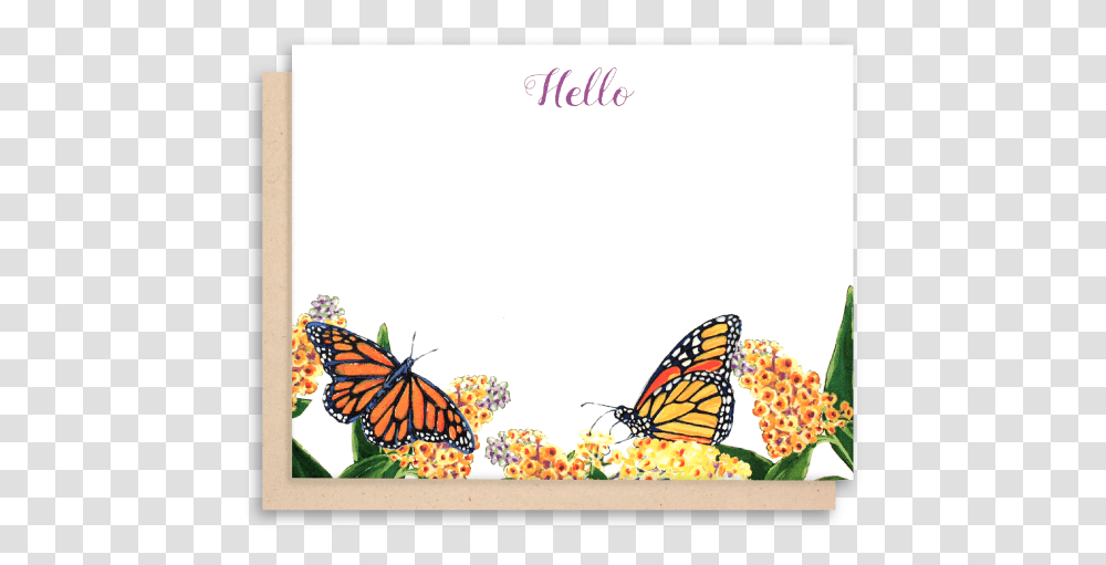 Thank You Card Background, Monarch, Butterfly, Insect, Invertebrate Transparent Png