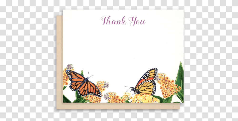 Thank You Card Background, Monarch, Butterfly, Insect, Invertebrate Transparent Png
