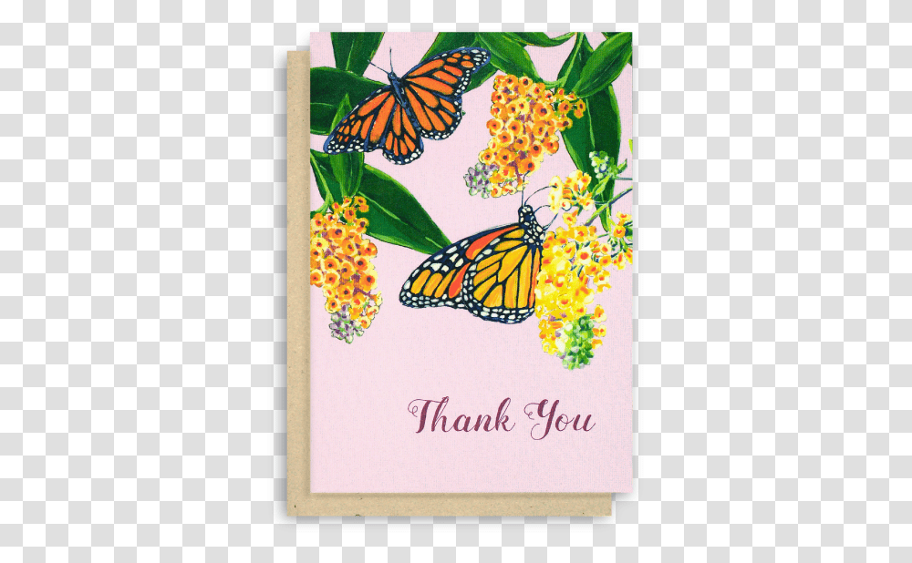 Thank You Cards With Butterflies, Pineapple, Plant Transparent Png
