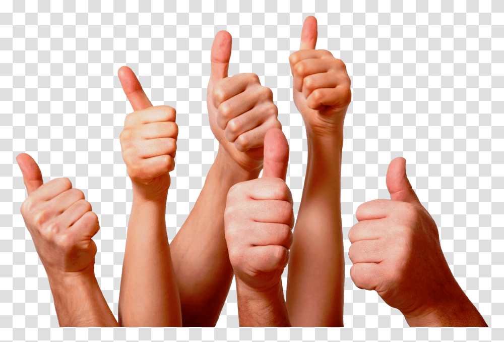 Thank You Clapping Hands, Thumbs Up, Person, Finger, Human Transparent Png