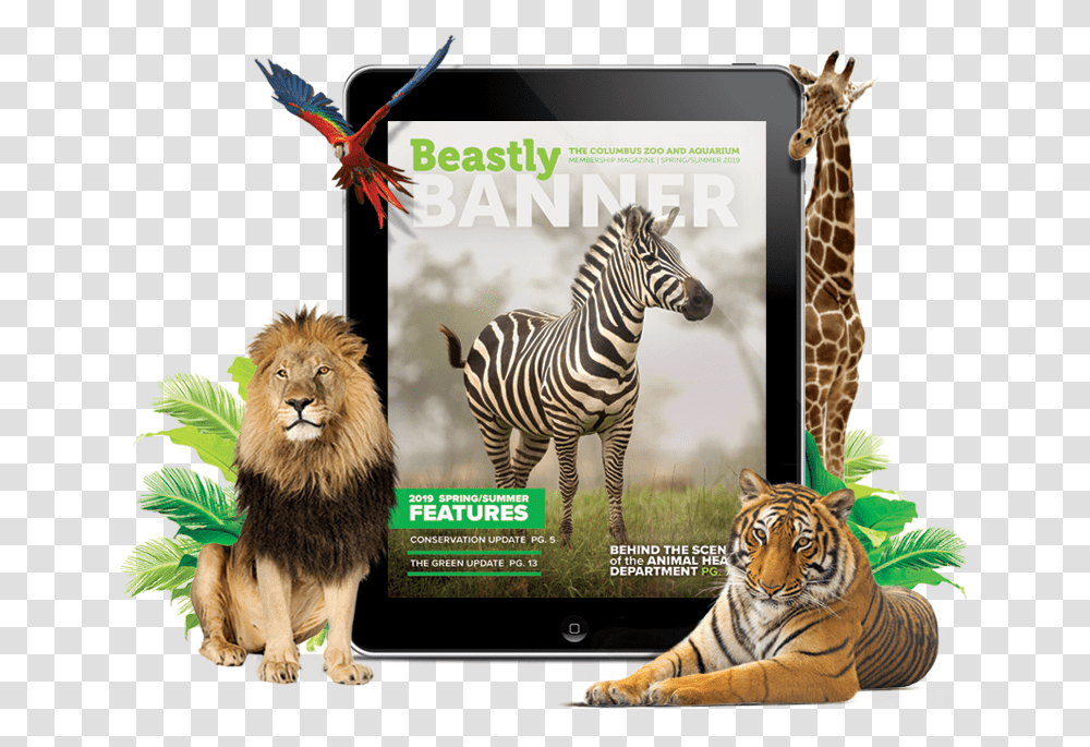 Thank You For Opting In To Receive Your Beastly Banner Masai Lion, Tiger, Wildlife, Mammal, Animal Transparent Png