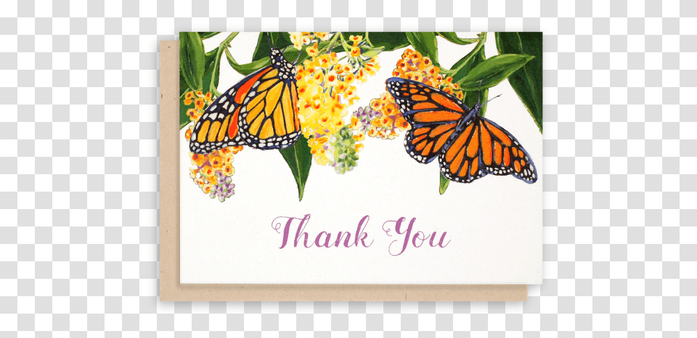 Thank You For The Butterflies, Monarch, Butterfly, Insect, Invertebrate Transparent Png