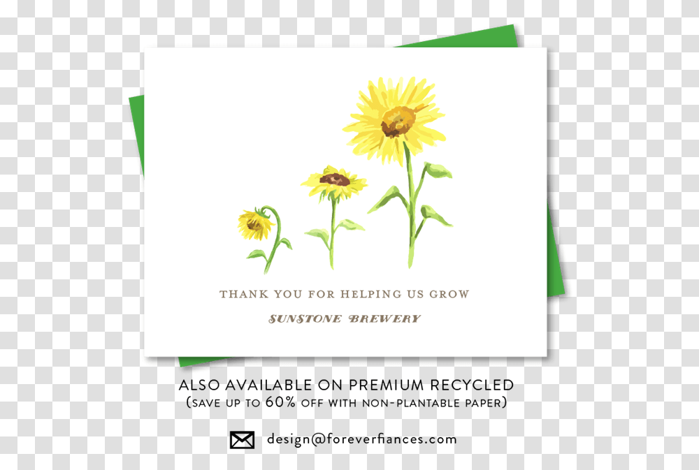 Thank You For The Growth, Plant, Flyer, Poster, Paper Transparent Png