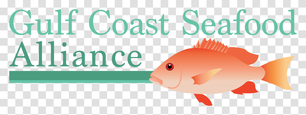 Thank You For Your Interest In The Gulf Coast Seafood University Of West Florida, Fish, Animal, Word Transparent Png