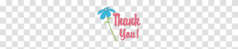 Thank You Free Images, Plant, Flower, Daisy Transparent Png