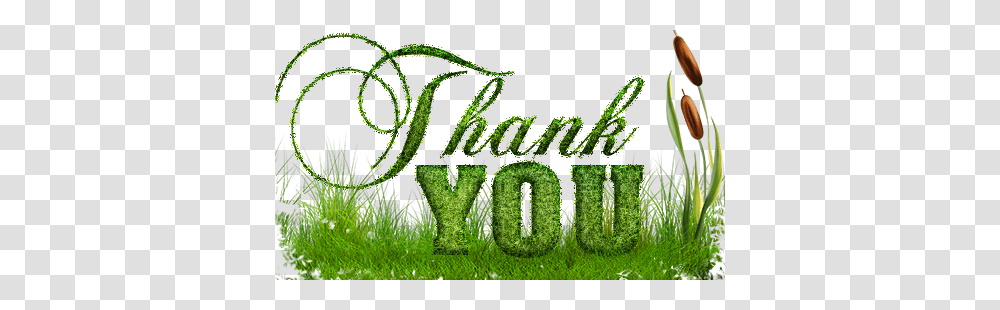 Thank You, Grass, Plant, Moss, Vegetation Transparent Png