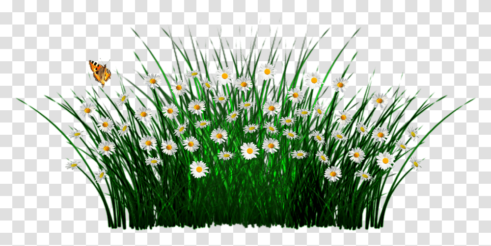 Thank You Sheep Clipart, Plant, Daisy, Flower, Daisies Transparent Png