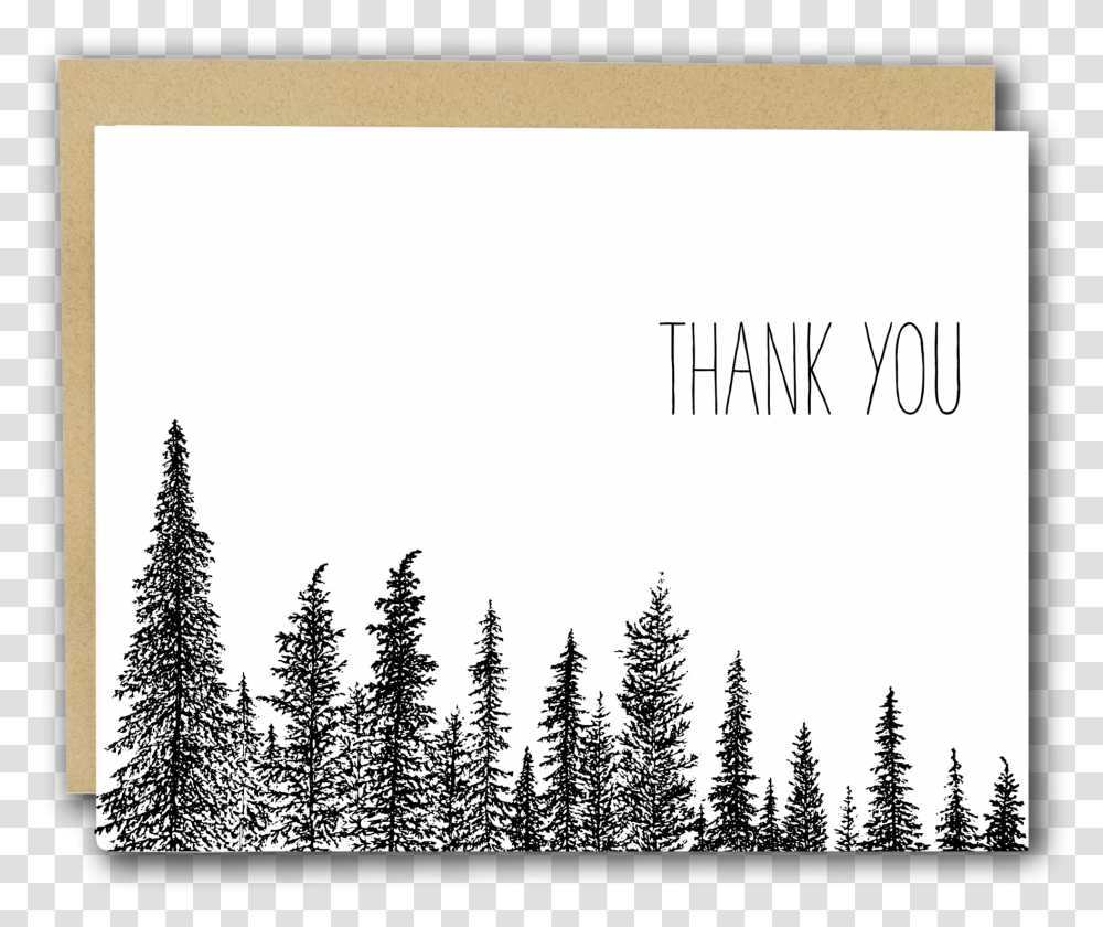 Thank You Trees Letterpress Card - Drawn To Ecology Thank You Card Trees, Plant, Fir, Abies, Conifer Transparent Png