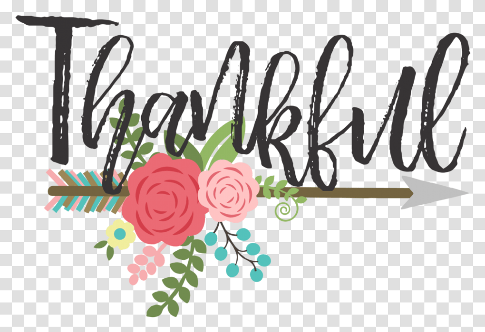 Thankful Distressed Download Garden Roses, Plant Transparent Png