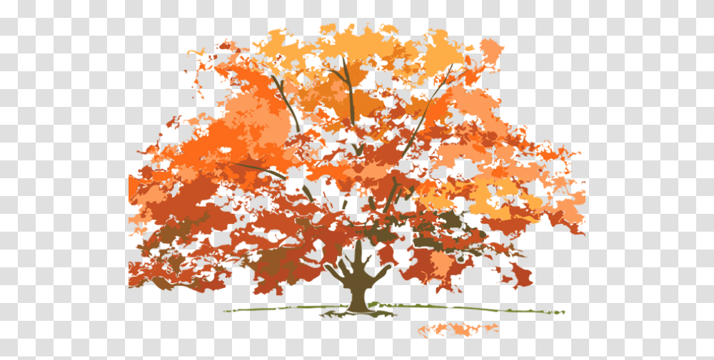 Thanksgiving 2019 Images Free, Tree, Plant, Outdoors, Rug Transparent Png