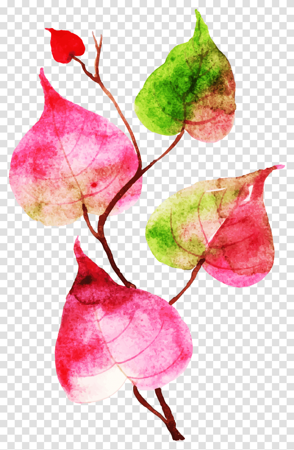 Thanksgiving Background Images Pink, Leaf, Plant, Pineapple, Fruit Transparent Png
