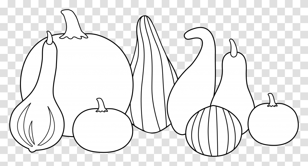 Thanksgiving Clipart Gourd Clip Art, Plant, Animal, Food, Fruit Transparent Png