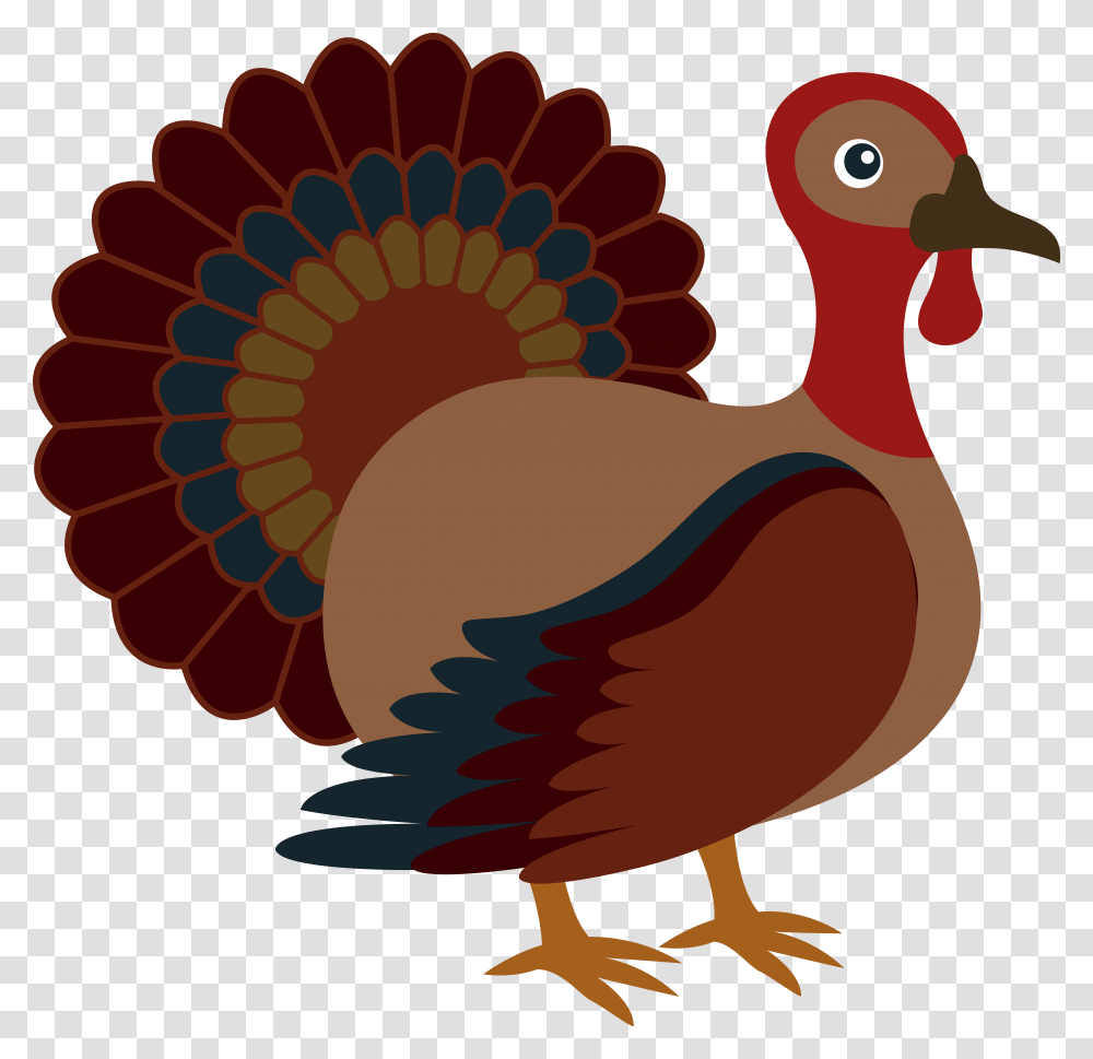 Thanksgiving Clipart Turkey Thanksgiving Vector, Bird, Animal, Turkey Bird, Poultry Transparent Png