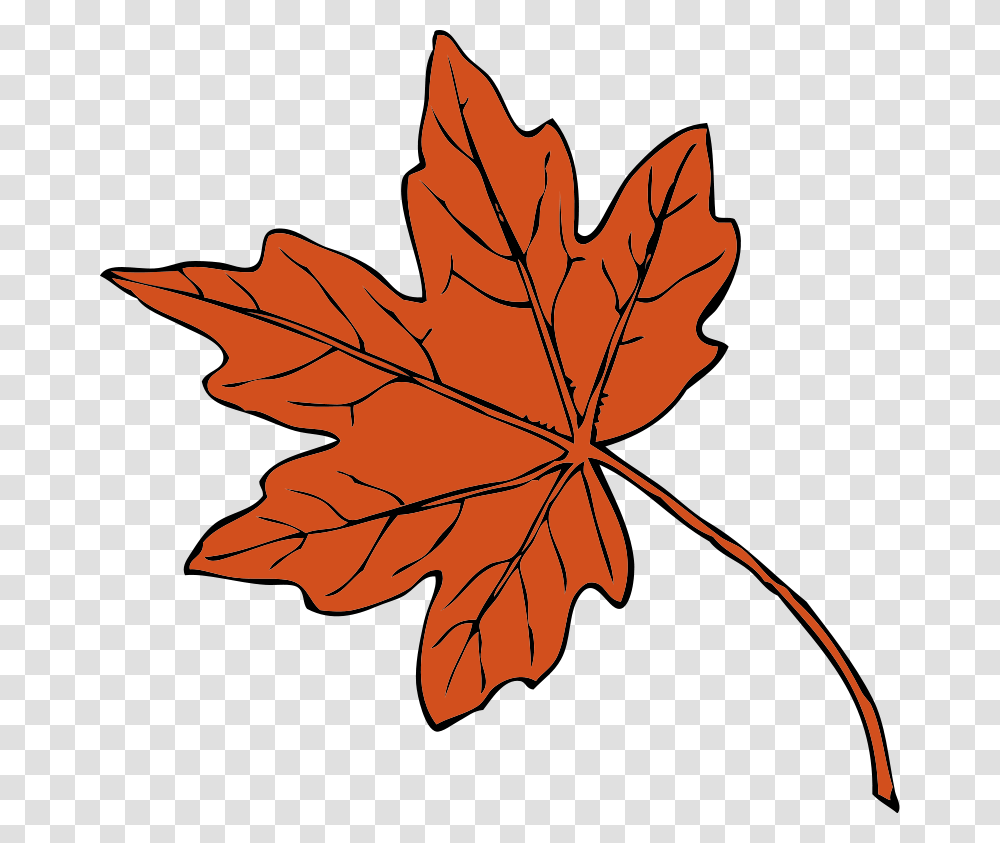 Thanksgiving Cliparts, Leaf, Plant, Maple Leaf, Tree Transparent Png