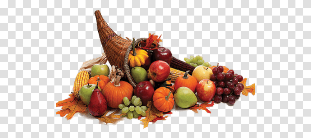 Thanksgiving Day Cornucopia Clip Art Stock Photography Background Thanksgiving Cornucopia, Plant, Fruit, Food, Produce Transparent Png
