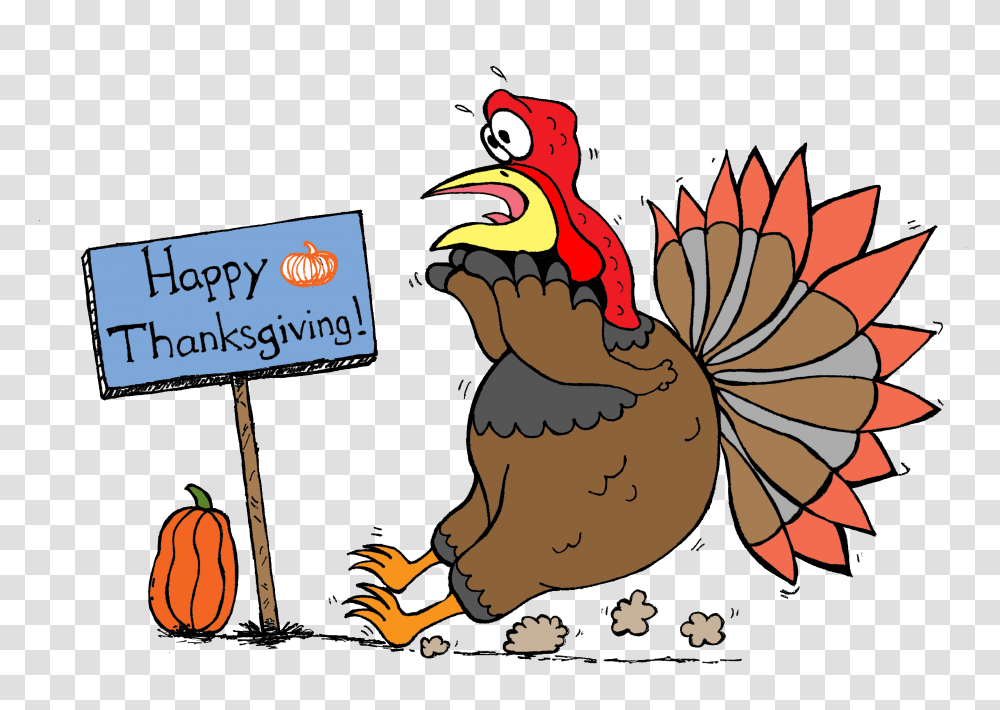 Thanksgiving Is Almost Here Turkey Clip Art For Teachers, Poultry, Fowl, Bird, Animal Transparent Png