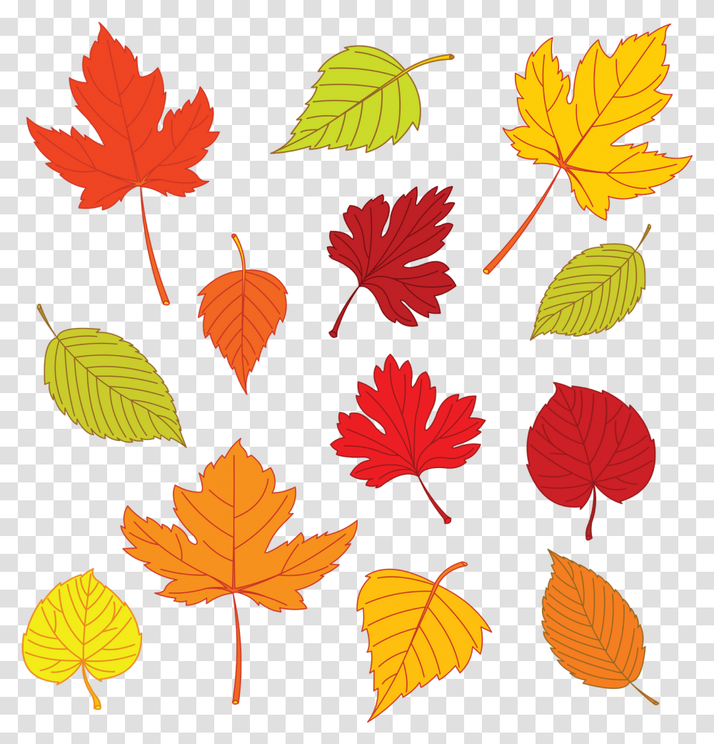 Thanksgiving Leaves Leaf Drawing Template Autumn Autumn Leaves Illustration, Plant, Tree, Maple Leaf, Veins Transparent Png