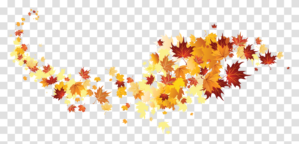 Thanksgiving Leaves, Leaf, Plant Transparent Png