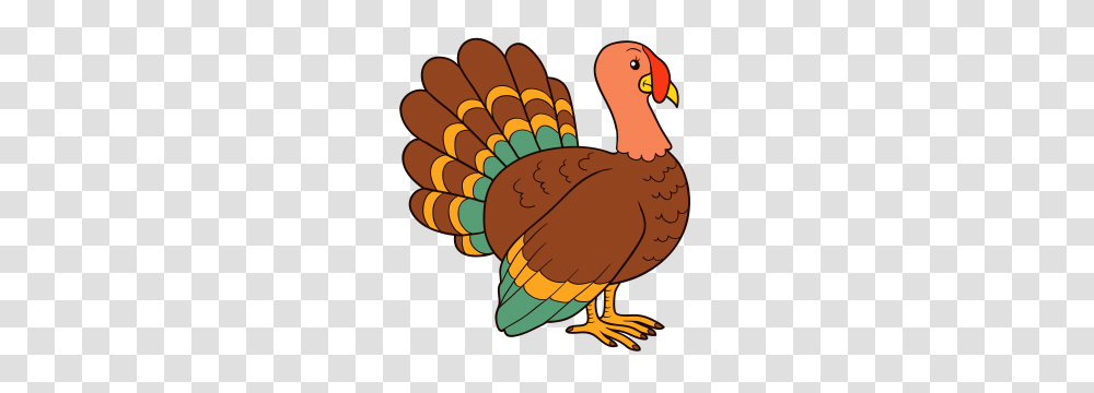 Thanksgiving Mass St Joseph, Animal, Bird, Fowl, Turkey Bird Transparent Png