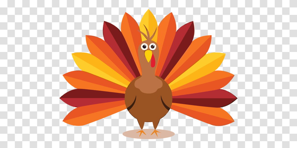 Thanksgiving Orange Plant For Thanksgiving Pictures For Kids, Bird, Animal, Flare, Graphics Transparent Png