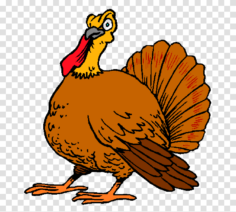 Thanksgiving Photos, Animal, Fowl, Bird, Banana Transparent Png