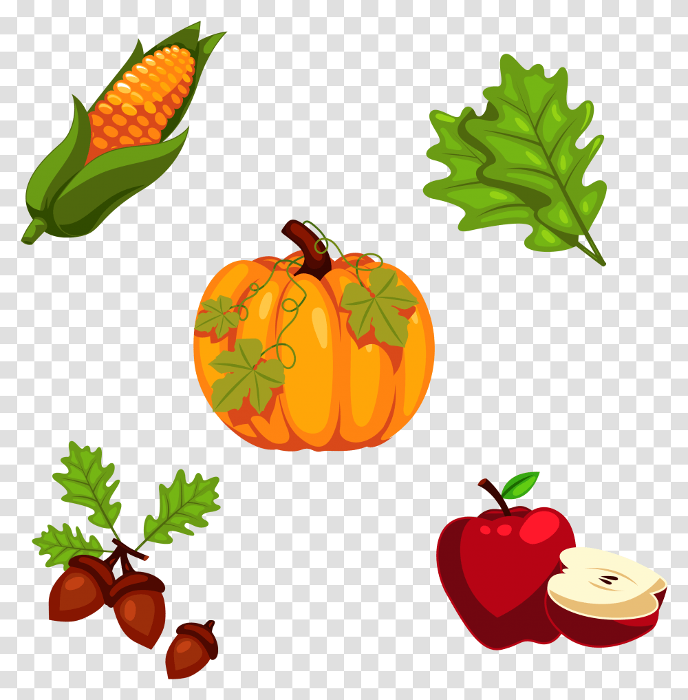 Thanksgiving Pumpkin Cartoon Pumpkin With Leaves, Plant, Leaf, Food, Fruit Transparent Png
