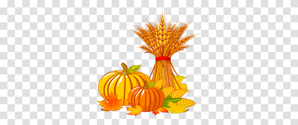 Thanksgiving Pumpkin Image, Plant, Vegetable, Food, Produce Transparent Png