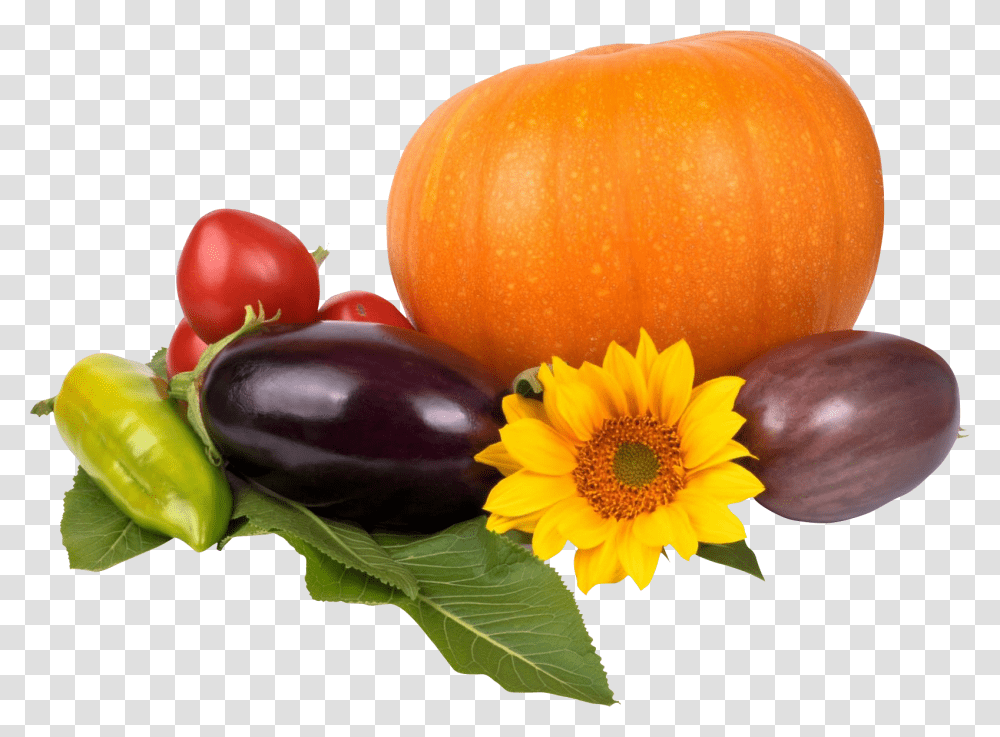 Thanksgiving Pumpkin, Plant, Orange, Fruit, Food Transparent Png