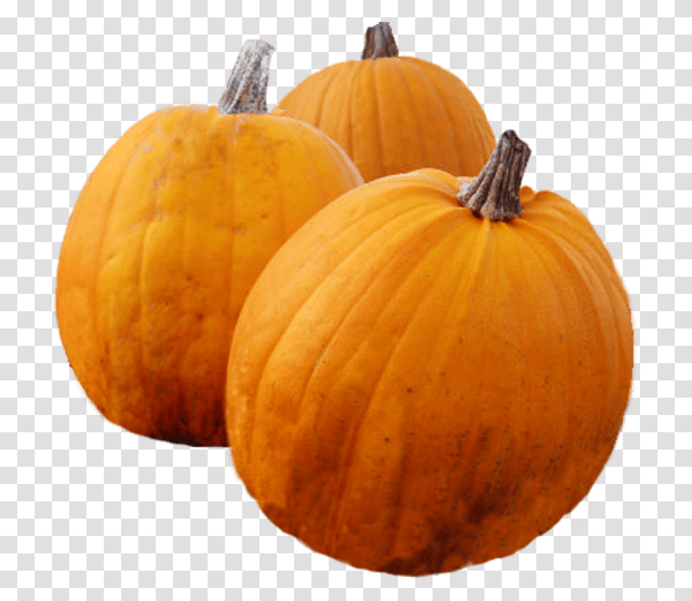 Thanksgiving Pumpkin Pumpkin, Plant, Vegetable, Food, Produce Transparent Png