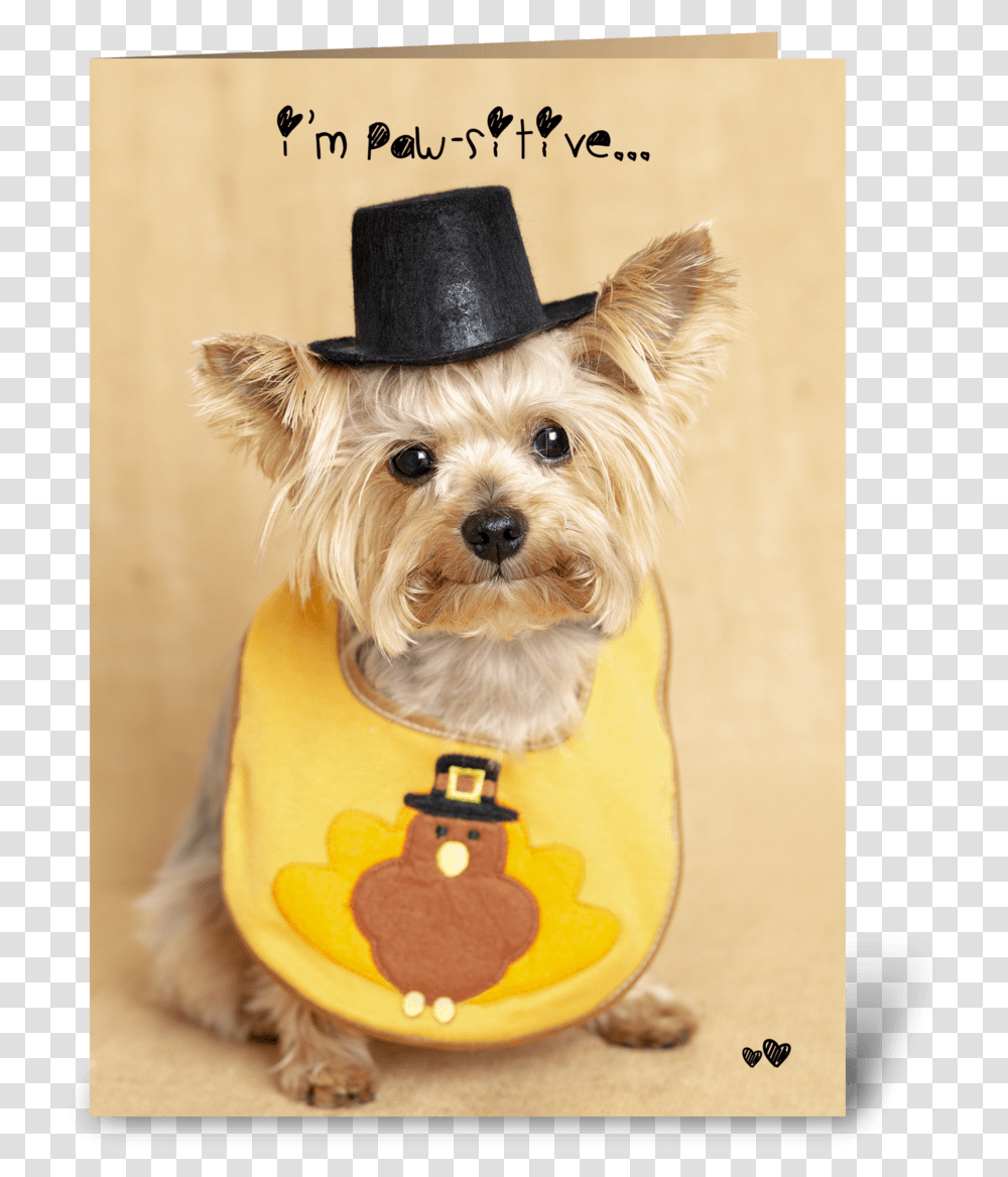 Thanksgiving Puppy Greeting Card, Apparel, Dog, Pet Transparent Png