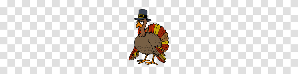 Thanksgiving Turkey, Animal, Bird, Fowl, Turkey Bird Transparent Png