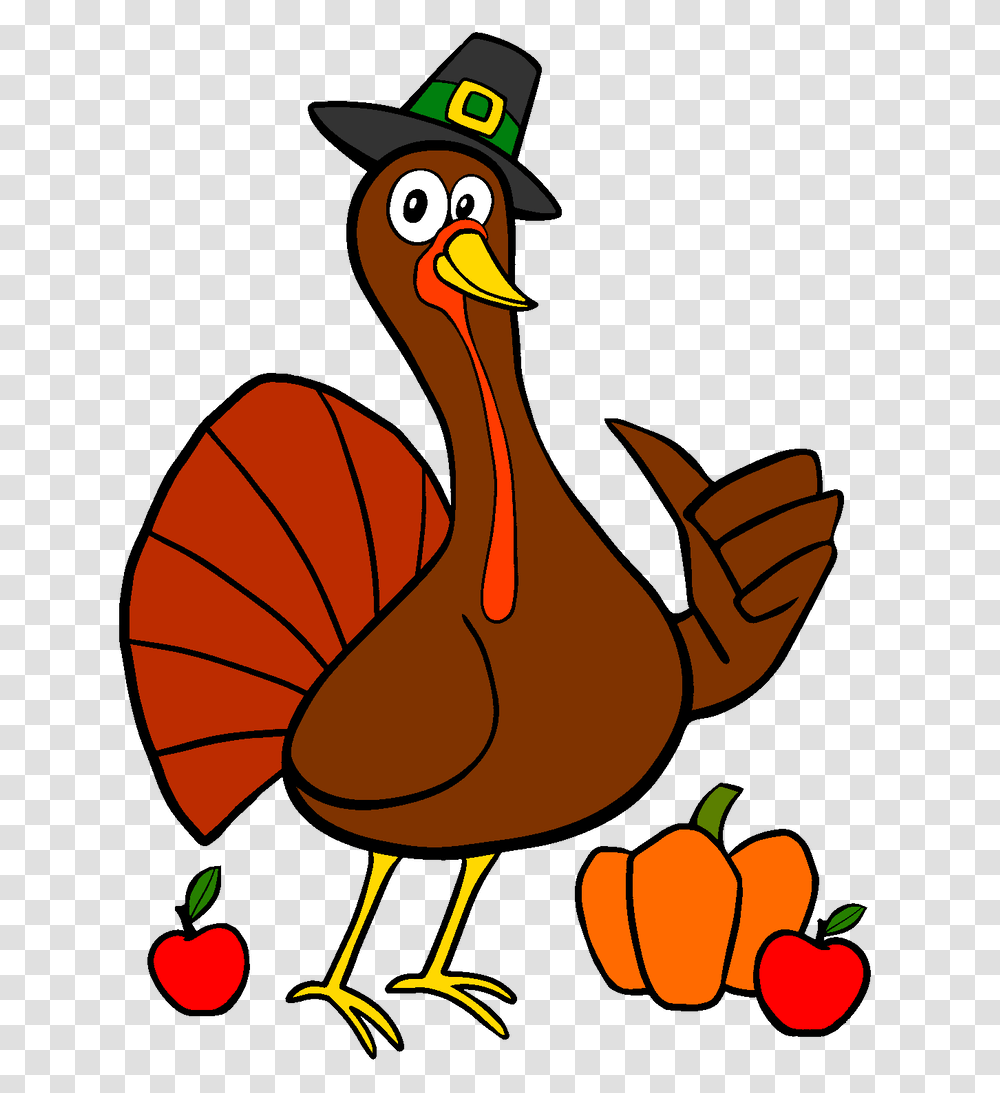 Thanksgiving Turkey, Bird, Animal, Beak, Fowl Transparent Png