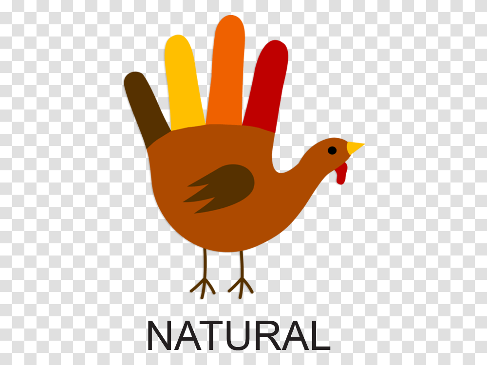 Thanksgiving Turkey Clipart Draw A Turkey Hand, Bird, Animal, Duck, Beak Transparent Png